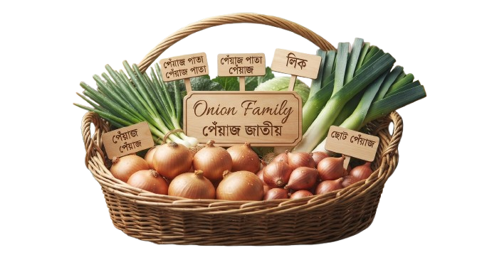 Onion Family (পেঁয়াজ জাতীয়)