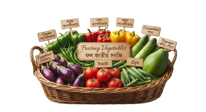 Fruiting Vegetables (ফল জাতীয় সবজি)