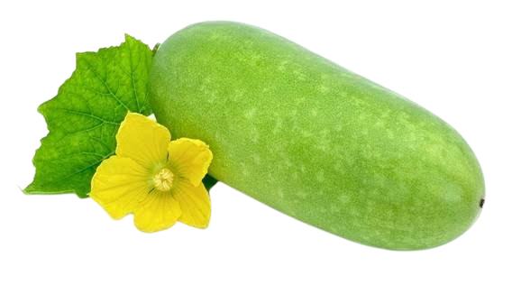 Ash Gourd (চাল কুমড়া)