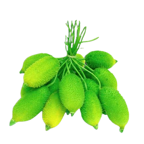 Teasel Gourd (কাঁকরোল)